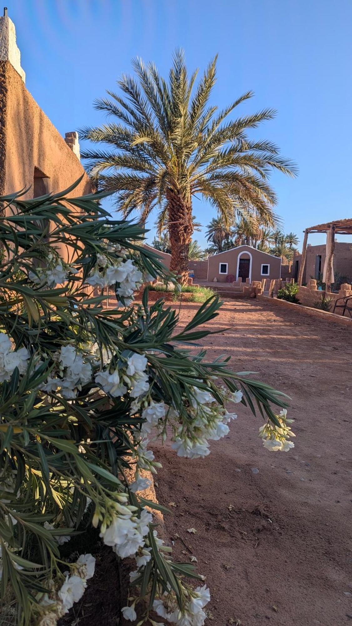 Kasbah Desert Camp M'Hamid Bagian luar foto